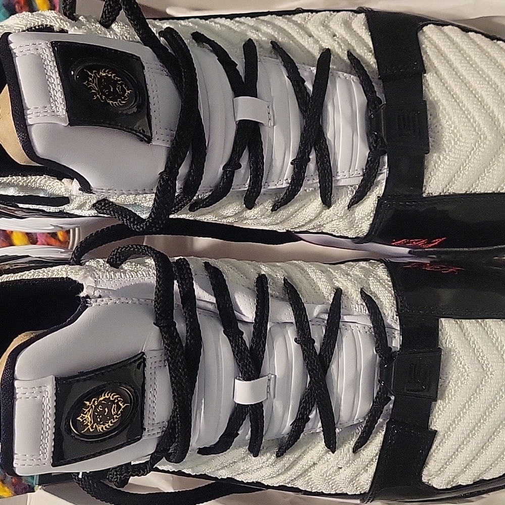 LEBRON XVI SB